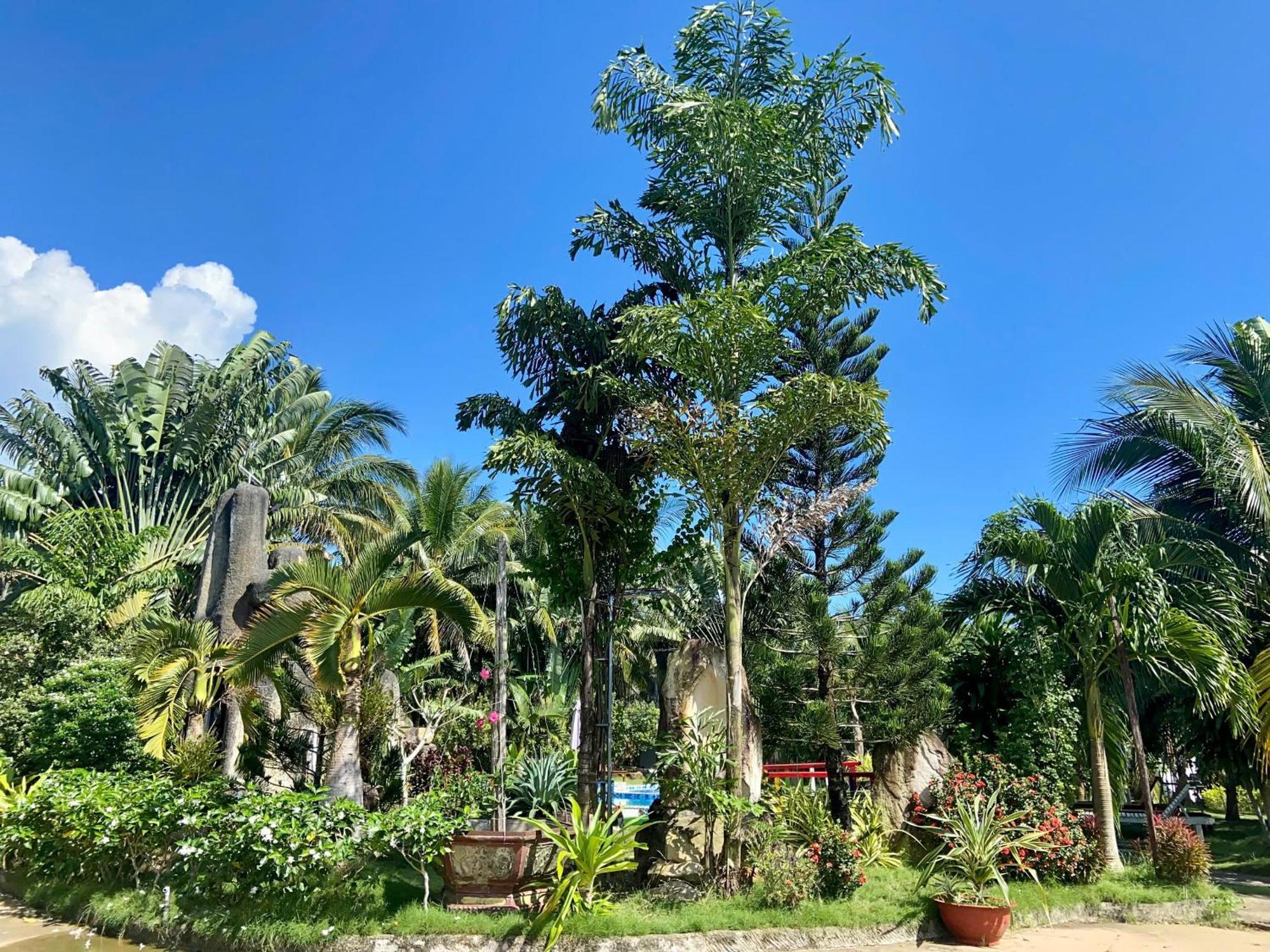 Y Nghia Bungalow Ong Lang Phu Quoc Dış mekan fotoğraf