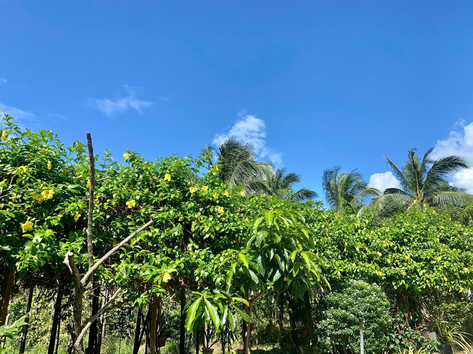 Y Nghia Bungalow Ong Lang Phu Quoc Dış mekan fotoğraf