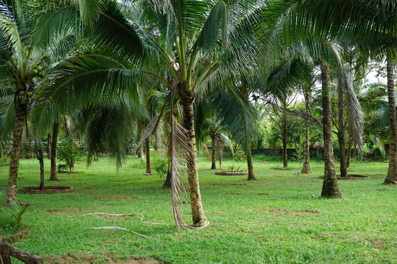 Y Nghia Bungalow Ong Lang Phu Quoc Dış mekan fotoğraf